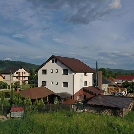 Pensiunea Lacul Albesti Albestii Paminteni Екстер'єр фото