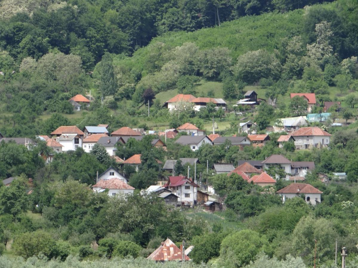 Pensiunea Lacul Albesti Albestii Paminteni Екстер'єр фото
